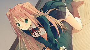 Love, Elections, and Chocolate