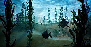 Tidepool