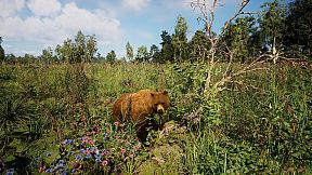 Russian Soul Simulator