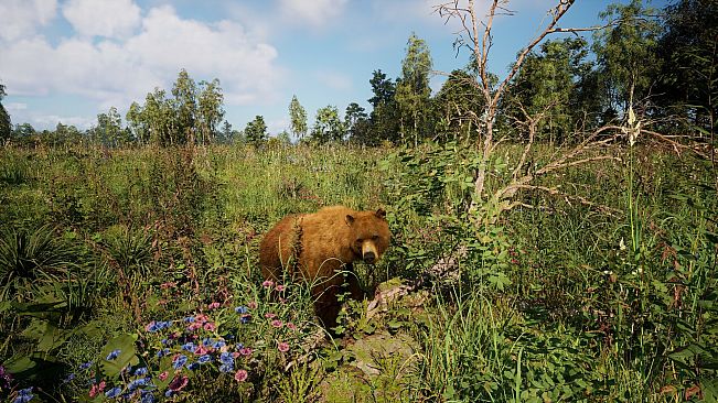 Russian Soul Simulator