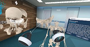 Human Anatomy VR