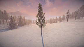 Birch Simulator