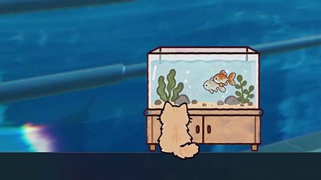 Your Cat - Fish tank