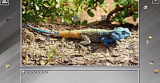 Super Jigsaw Puzzle: Generations - Random Animals 3