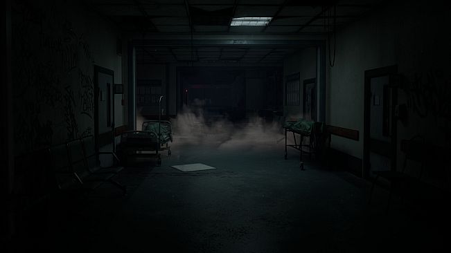 Slient Ward:Forever Lost