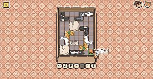 Box Cats Puzzle