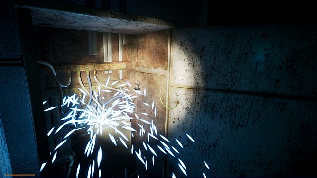 Night Shift at the Museum