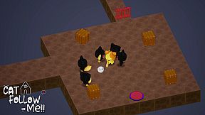 Cat Follow Me