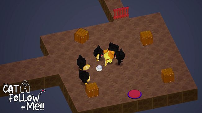 Cat Follow Me