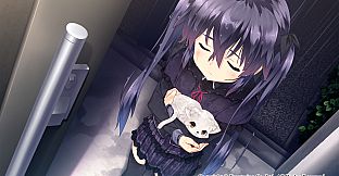 Himawari - The Sunflower -