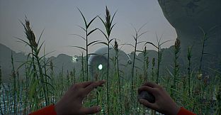 Forest Escape: Last Train