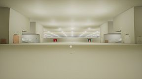 Madness Starts Young