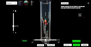 Wind Tunnel Flight Lab