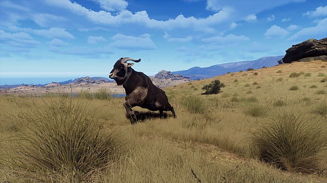 Way of the Hunter - Matariki Park