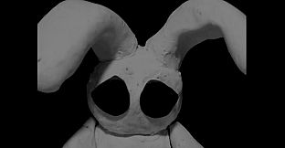 Rabbit Scare