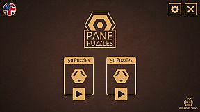 The Pane Puzzle