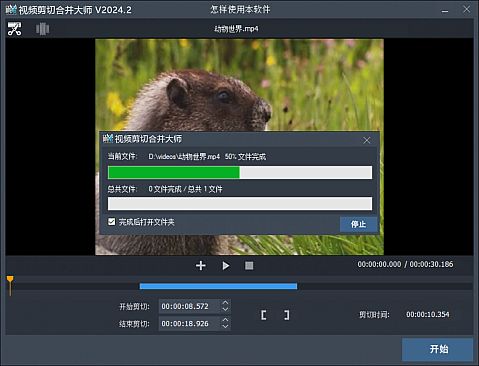 视频剪切合并大师