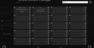 Online Adult Content Manager - Online Content Manager