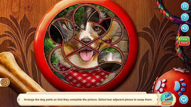 Home for Friends: Beloved Pets Collector's Edition