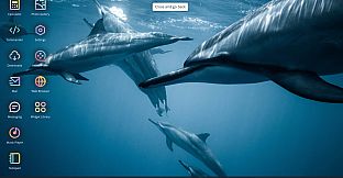 What happened to Kate