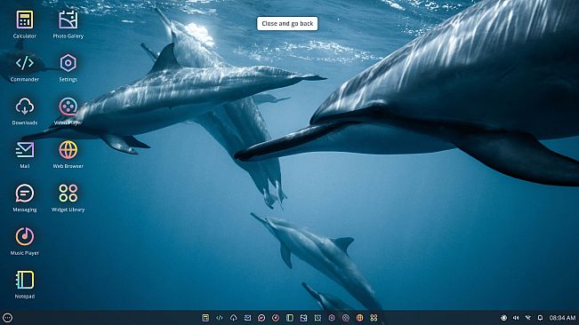 What happened to Kate