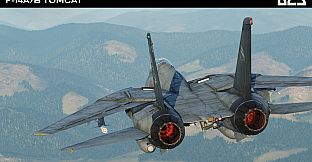 DCS: F-14A/B Tomcat by Heatblur Simulations
