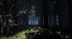 Alone on the Lost Isle