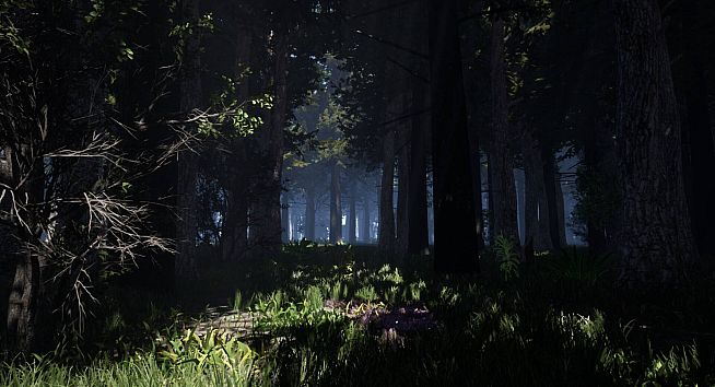 Alone on the Lost Isle