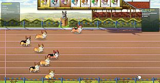 Corgi Race Live