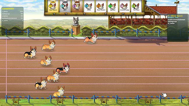 Corgi Race Live