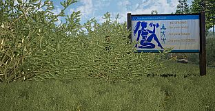 The Fox, The Forest & The Darkness