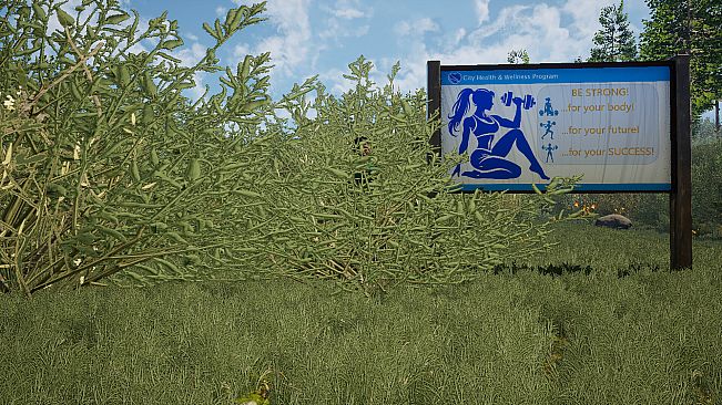 The Fox, The Forest & The Darkness