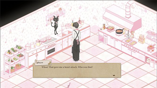 Midnight Diner Love Story