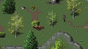 How to Tame a Succubus