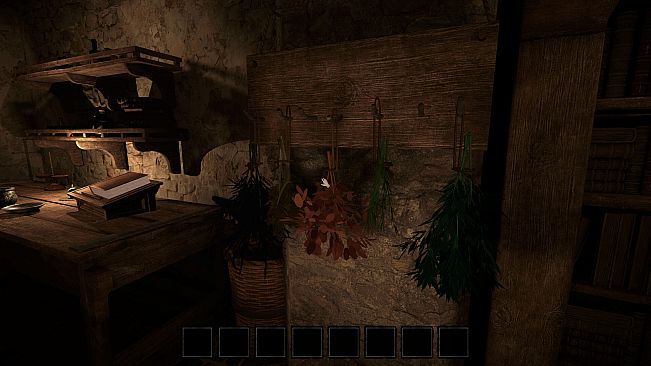 Plague Doctor: Medieval Apothecary