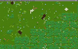 Alpha Lyrae Discovery