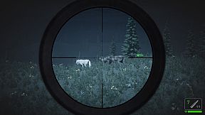 The Mountain Hunting