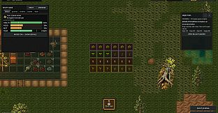 Arid Frontiers