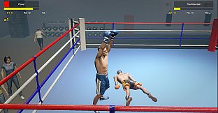Boxing Life Simulator
