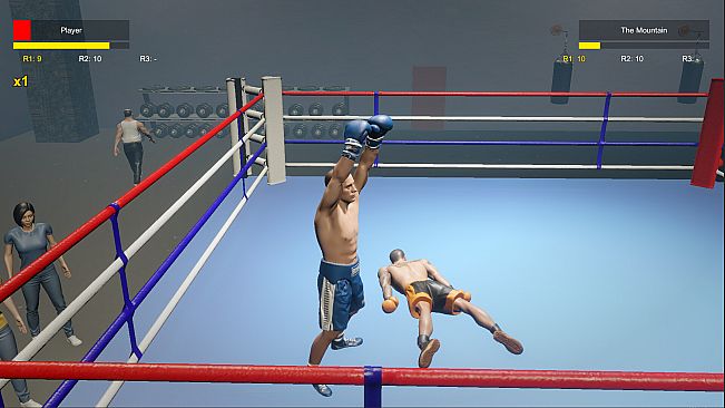 Boxing Life Simulator