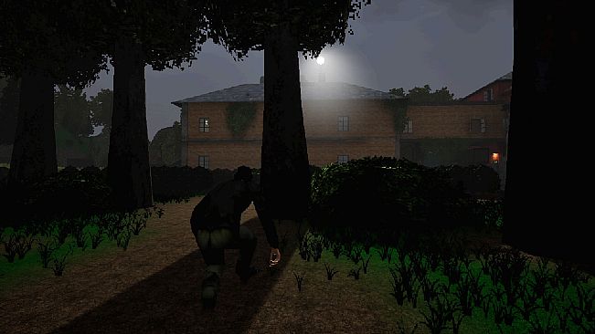 Thieves and Tasers