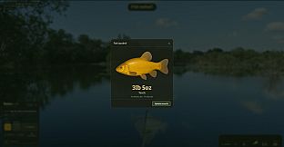 Swimcraft