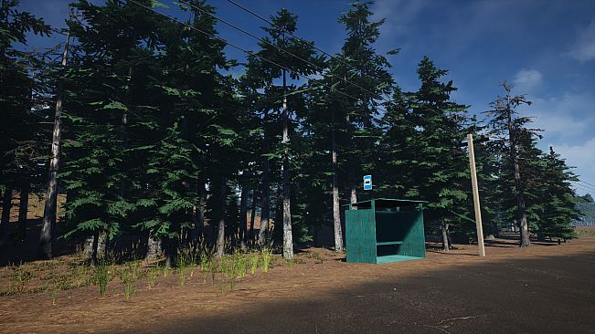 Mushroom Picker Simulator