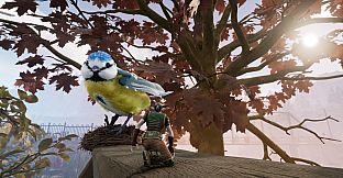 Small World Big Impact Bundle