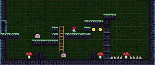 Ginger Shroom Journey