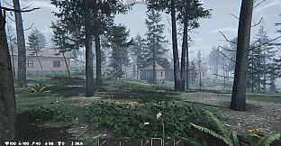 The Silent Wild