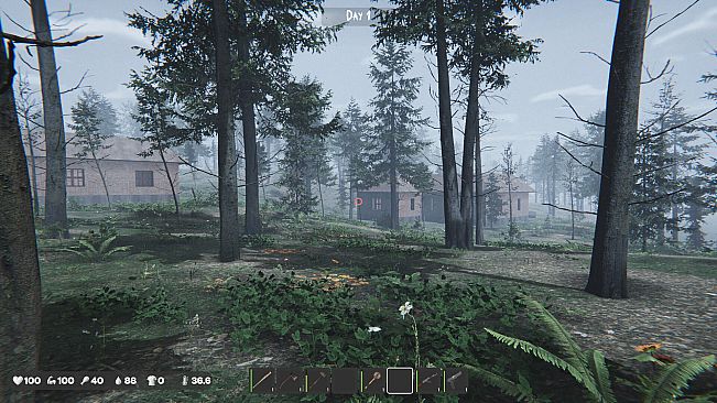 The Silent Wild