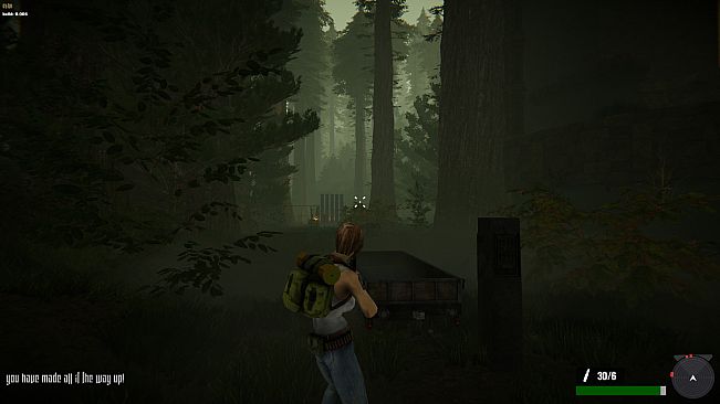 Jane Westlake Adventures - The Mystery Train