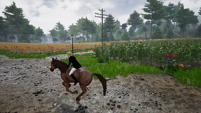 Horse Riding Deluxe 2