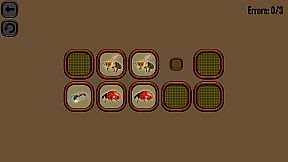 Animals Memory: Insect